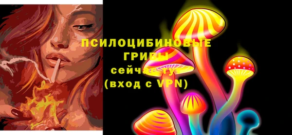 apvp Покровск