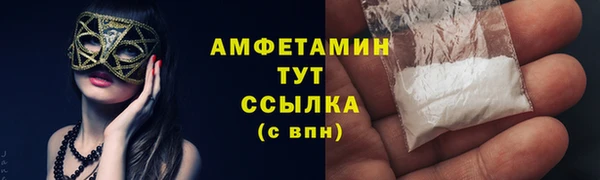 стафф Вяземский