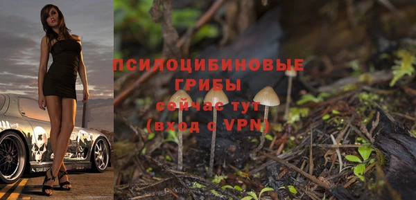 apvp Покровск