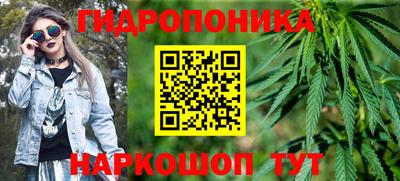 сатива Беслан