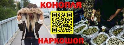 сатива Беслан