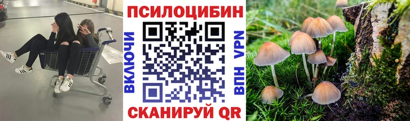 хочу наркоту Торжок Псилоцибиновые грибы ЛСД