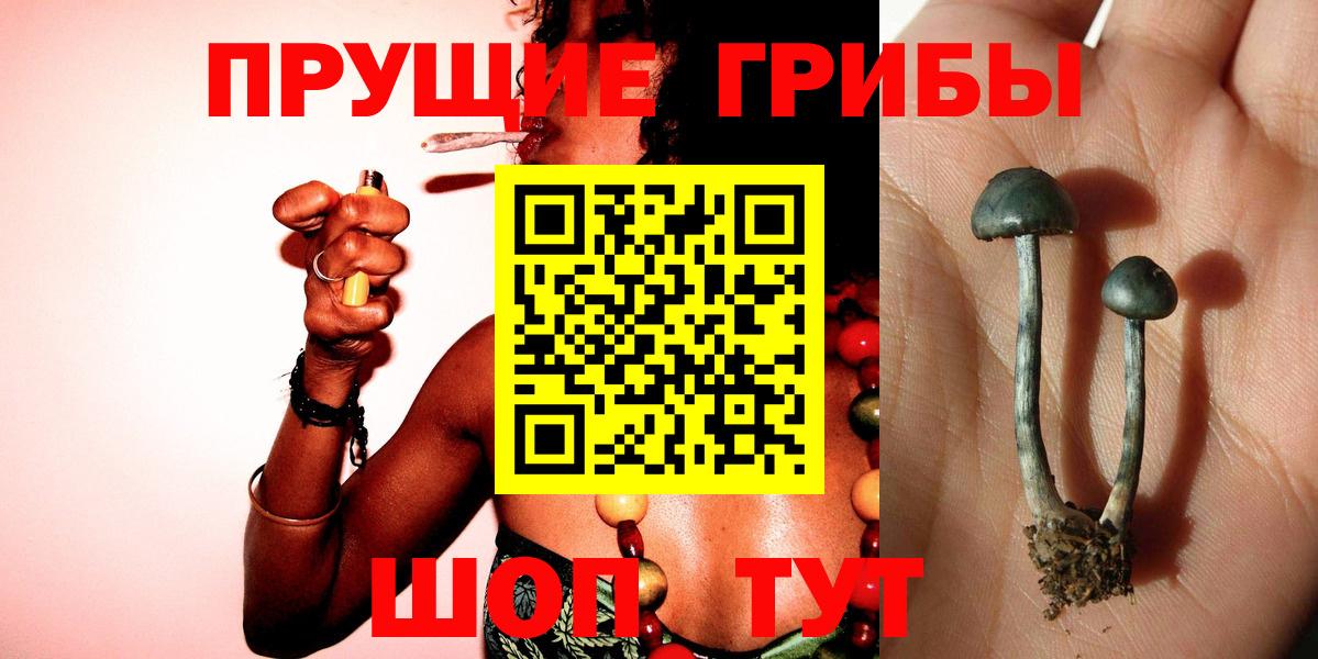 Псилоцибиновые грибы GOLDEN TEACHER  Галлюциногенные грибы MAGIC MUSHROOMS  Торжок 