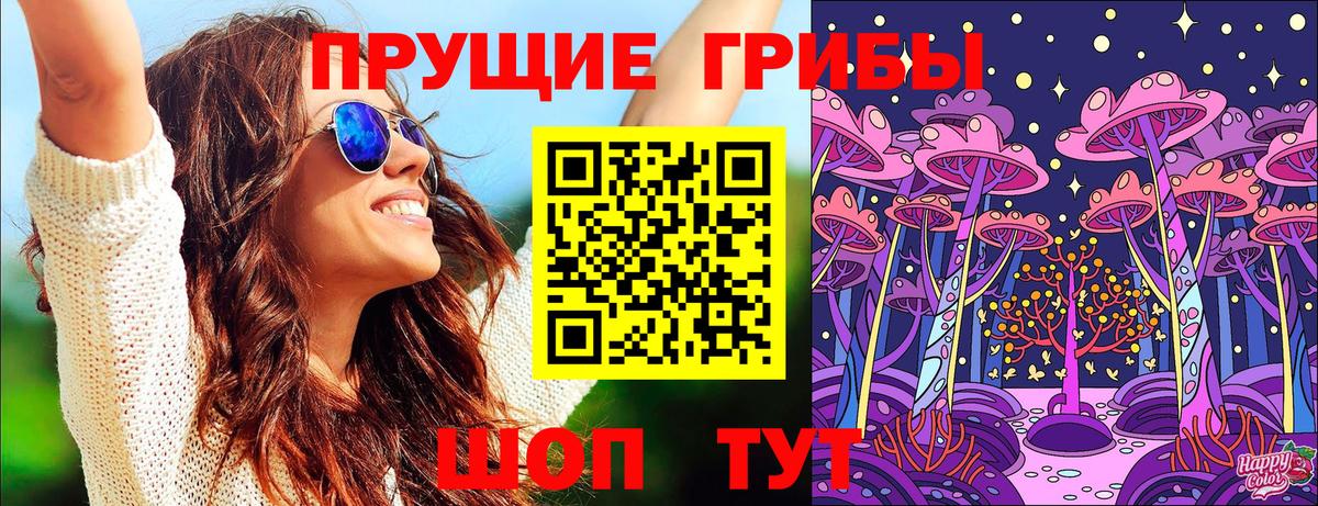 Торжок  Галлюциногенные грибы прущие грибы  Вход с VPN  Псилоцибиновые грибы мицелий 