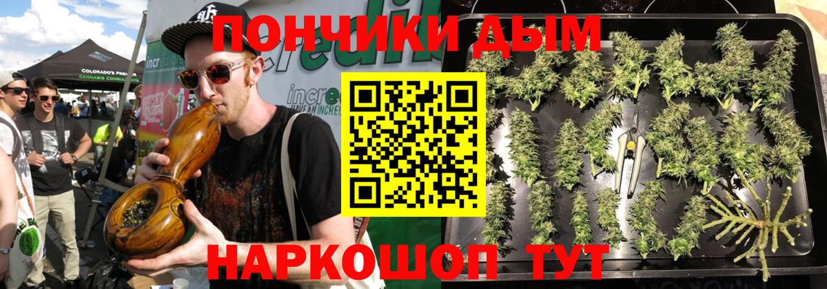 Бошки марихуана Bruce Banner  Торжок  Конопля гибрид 